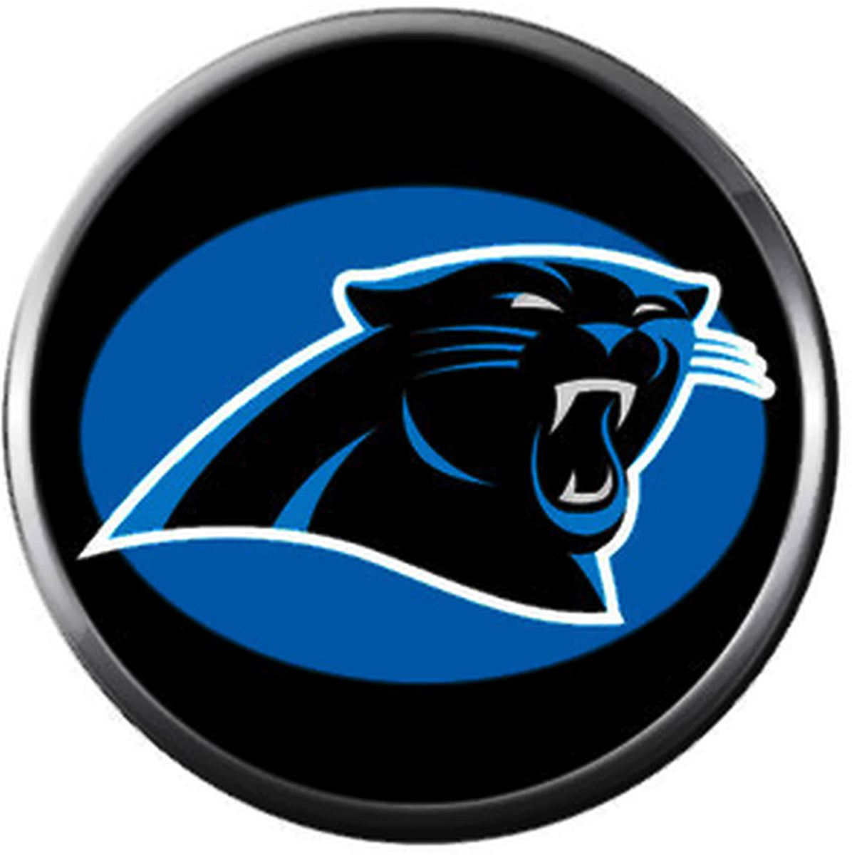 NFL Carolina Panthers Blue On Black Panther Football Game Lovers