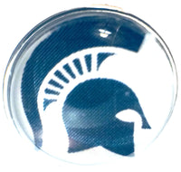 MSU Michigan State Spartans College Logo Fashion Snap Jewelry University Snap Charm